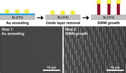 LocationControlled Growth Of Vertically Aligned Si Nanowires Using Au