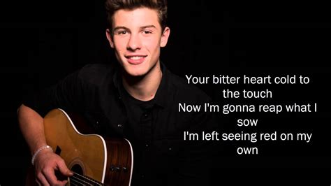 Letra De Shawn Mendes Stitches