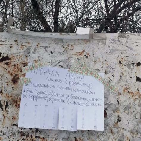 В Сибири жена так устала от мужа, что повесила на забор объявление о ...