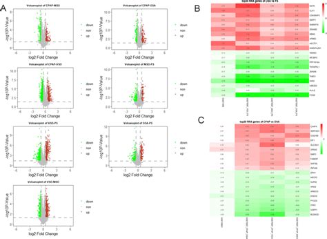 Volcano Plot And Heatmap Of Degs And Rra Analysis A Volcano Plots Of