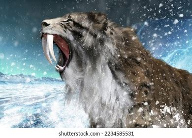 Sabertoothed Sabertiger Fangs Out Making Threat3d Stock Illustration ...