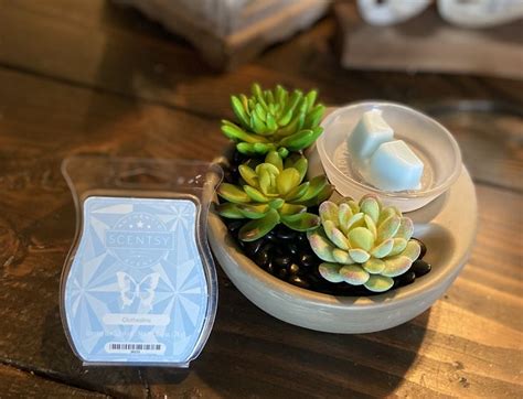 Scentsy Little Garden Warmer Little Garden Faux Succulents Scentsy Wax Bars