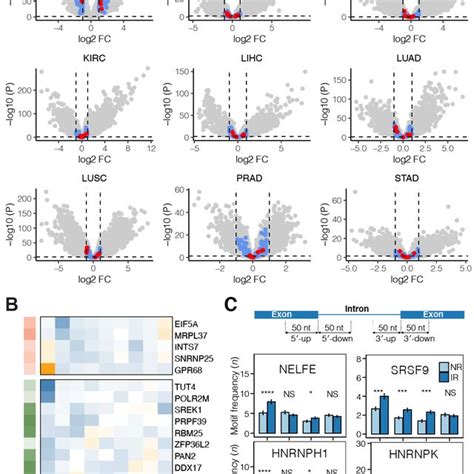 Breast Cancer Specific Gene Expression And Rbp Analysis A Volcano