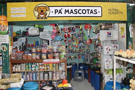 Mejores Tiendas De Mascotas En Medell N Con Calidad De Productos Y M S