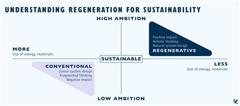 Regenerative Vs Sustainable What Does Regenerative Mean