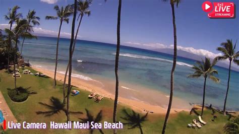 Live Camera Hawaii Maui Sea Beach Live Cam Stream YouTube