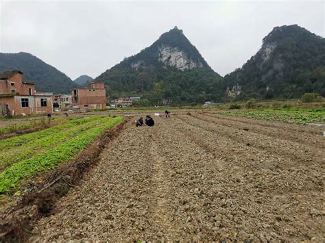 荔波县玉屏街道“三点发力”有序推进耕地整治工作保护土地