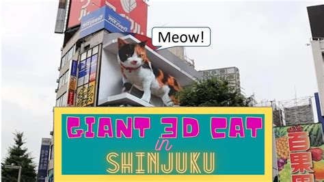 Japan 3d Cat Meows Amazing 3d Cat Billboard In Shinjuku So Cute 3d