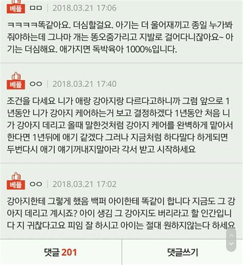 강아지랑 아이랑 같냐는 남편 인스티즈instiz 인티포털 카테고리