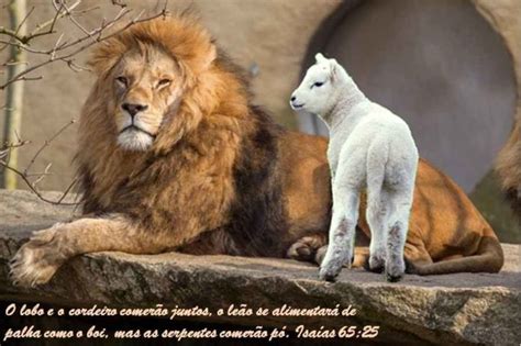 ISAÍAS 65 – AS RESPOSTAS DE DEUS | Blog do Seu Alipio