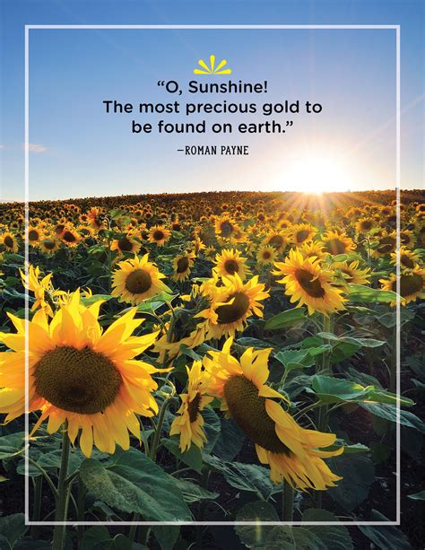 15 Things You Didn't Know About The Sensual Sunshine Leak (Prepare To Be Stunned!) Image 8