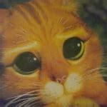 Blow Girls Blowjob Blowjob Porn By Coozhound Xhamster