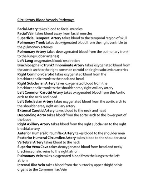 Circulatory Blood Vessels Pathways - Studocu