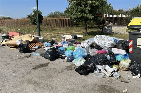 Foggia Invasa Dalla Monnezza Cassonetti Mai Lavati E Senza Coperchio