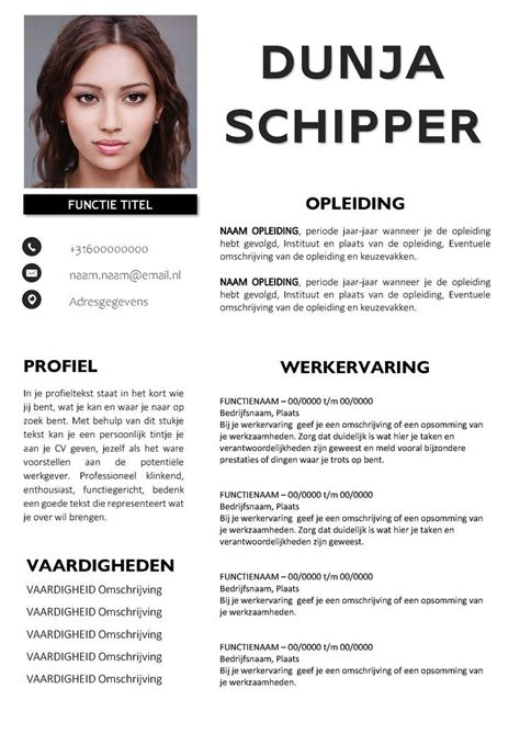 Voorbeeld Cv Templates Gratis Cv Voorbeelden In Word Artofit