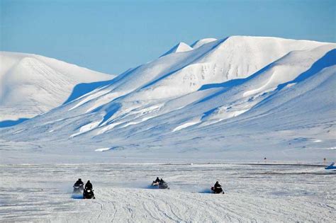 Visit Svalbard Hurtigruten G Adventures Longyearbyen Polar Bear