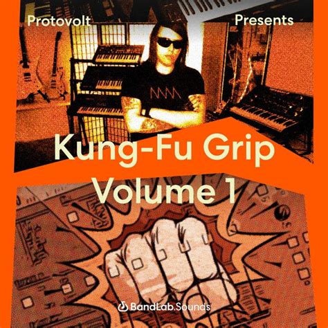 Protovolt Presents Kung Fu Grip Vol 1 Bandlab Sounds