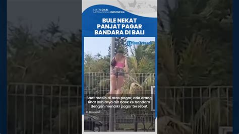 Viral Aksi Nekat Bule Panjat Pagar Bandara I Gusti Ngurah Rai Bali