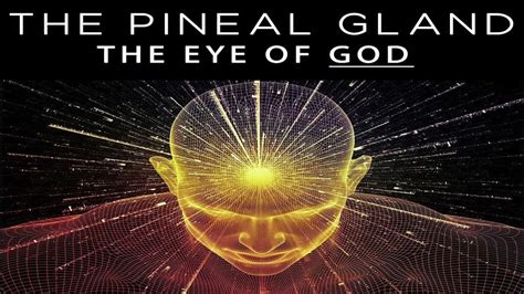 15 Min Pineal Gland Healing Decalcify And Heal Youtube