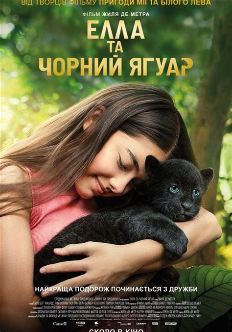 Кінотеатр «Доміон» - сьогодні