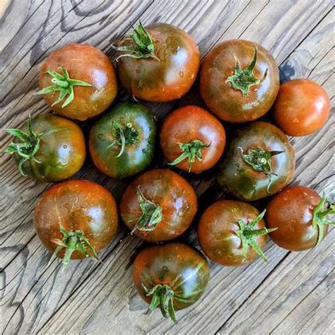 Black Passion Tomato Meraki Seeds