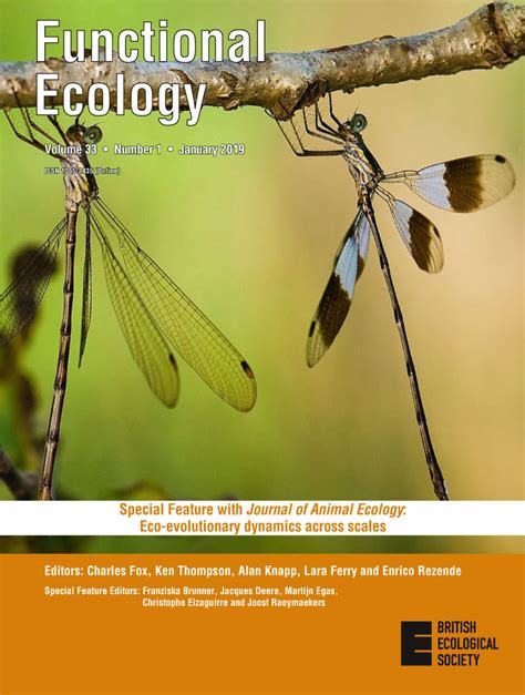 The Diversity Of Eco‐evolutionary Dynamics Comparing The Feedbacks