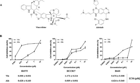 Structures A And The Cell Viability B Of Vinorelbine And Afatinib