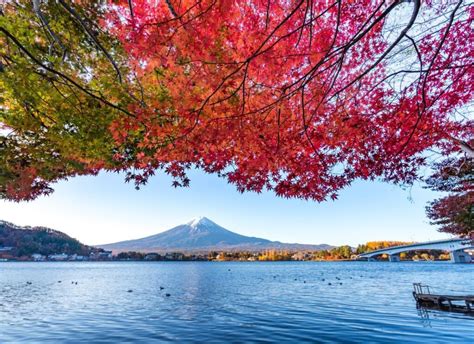 12 Best Ways To Experience Mount Fuji