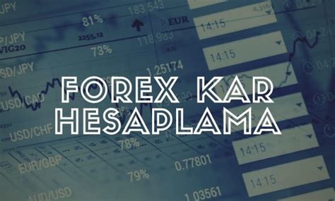 Forex Kar Hesaplama Form L Nedir