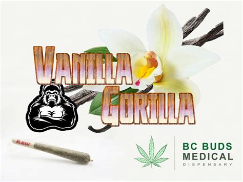 Buy Vanilla Gorilla Pre Roll Weed Cannabis Dispensary Canada Online