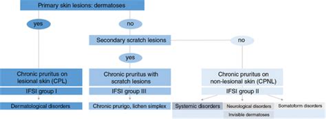 S2k guideline Diagnosis and treatment of chronic pruritus Ständer