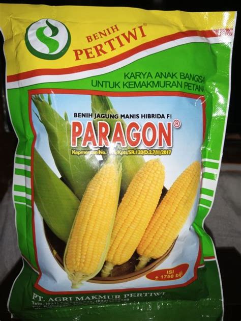 Benih Jagung Manis Hibrida F Paragon Gr Butir Original