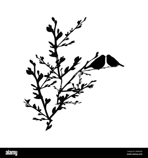 Silhouette Of Birds Sitting On Twig Of Tree On White Background Birds Couple On Branch Two