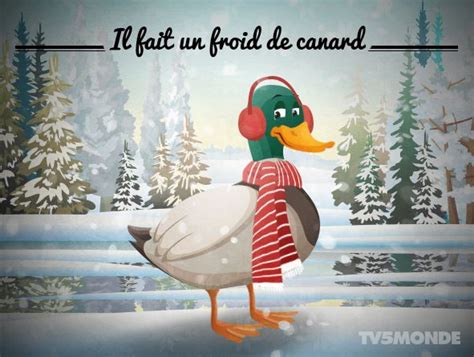 Il fait un froid de canard Un très grand froid un froid très vif