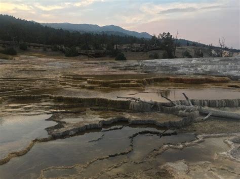 Cosa Vedere A Yellowstone Visitare Mammoth Hot Springs E Norris Geyser Basin