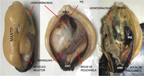 Biology And Geology