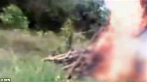 Woman Burned Alive For Being A Witch By A Remote Amazon Tribe Daily Mail Online