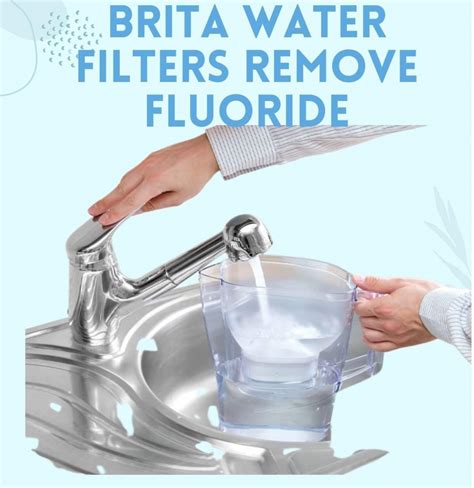 Do Brita Water Filters Remove Fluoride Watery Filters