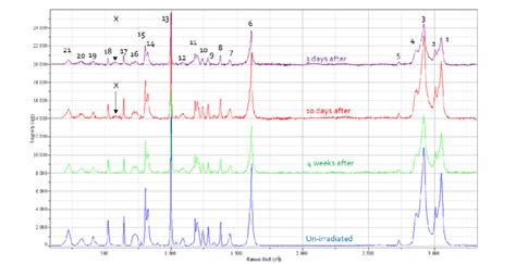 Background Subtracted Raman Spectra For Mgy Irradiated Ej N B