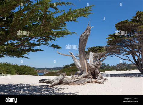 Carmel beach in Carmel, California - USA Stock Photo - Alamy