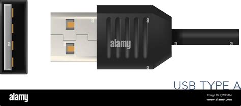 Usb Type A Kind Of Connectors For Gadgets Vector Stock Vector Image