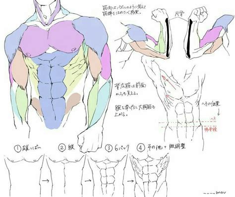 Figure Drawing Reference, Anatomy Reference, Art Reference Photos, Hand Reference, Human Anatomy ...