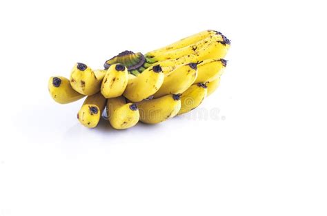 Grupo Do Isolado Das Bananas No Fundo Branco Imagem De Stock Imagem