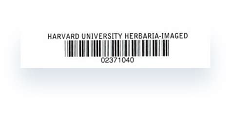 Library Barcode Labels