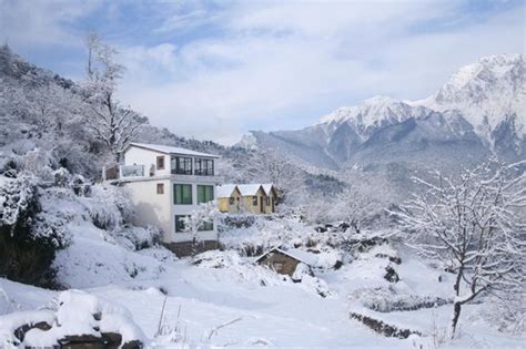 XRA COTTAGE - Prices & Lodge Reviews (Joshimath, India)