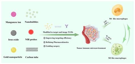 Targeting Tumor Associated Macrophages For Imaging