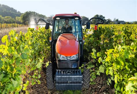 Steigerung Der Produktivit T Im Weinbau