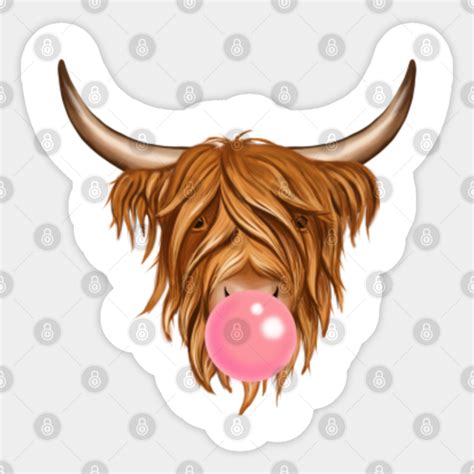 Highland Cow With Bubble Gum Highland Cow Sticker Teepublic