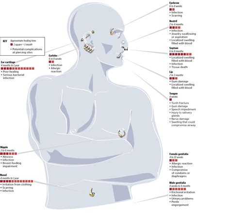 InfoGraphic on Body Piercing healing time | Salvagente