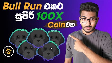 2025 Bull Run එකට සපර 100X Coin එක 100X meme coin Myro YouTube